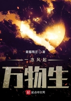 一念風(fēng)起萬(wàn)物生在線(xiàn)閱讀