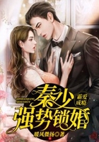 霸愛成癮：秦少強勢鎖婚在線閱讀