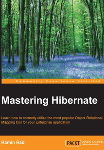 Mastering Hibernate