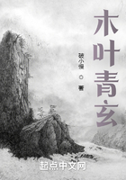 木叶青玄在线阅读