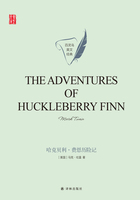 哈克贝利·费恩历险记（The Adventures of Huckleberry Finn）