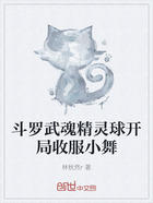 斗罗武魂精灵球开局收服小舞在线阅读