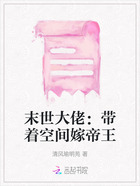 末世大佬：带着空间嫁帝王在线阅读