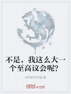 不是，我這么大一個(gè)至高議會(huì)呢？在線閱讀