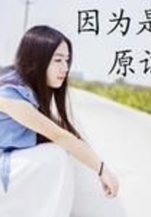 逝去的記憶無言的守護