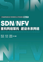 SDN/NFV：重构网络架构  建设未来网络在线阅读