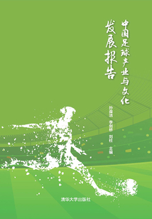 中國足球產業與文化發展報告