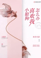 小狼狗喜歡我怎么辦在線閱讀