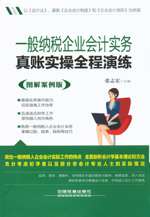 一般納稅企業(yè)會計實務真賬實操全程演練(圖解案例版)