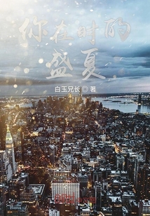 你在时的盛夏