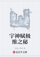 宇神赋极维之秘在线阅读