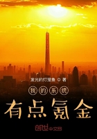 我的系统有点氪金在线阅读