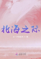 北海之际在线阅读