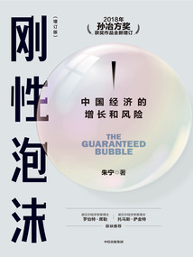 剛性泡沫(增訂版):中國經(jīng)濟(jì)的增長和風(fēng)險