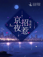 京夜招惹在线阅读