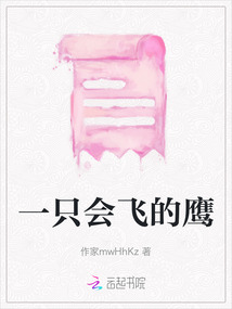 一只會飛的鷹