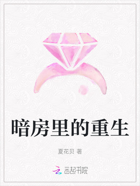 暗房里的重生在线阅读