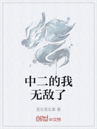 中二的我无敌了在线阅读