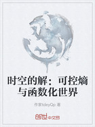 时空的解:可控熵与函数化世界在线阅读