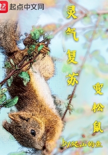 靈氣復蘇變松鼠