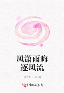 風瀟雨晦逐風流