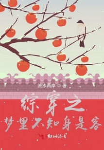 綜穿之夢(mèng)里不知身是客