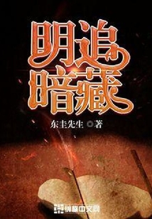 明追暗藏
