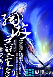 網(wǎng)游之無(wú)雙圣劍