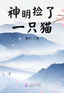 神明撿了一只貓