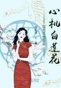 陸先生他是朵心機白蓮花