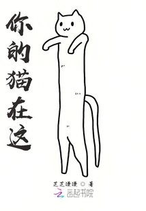 你的貓在這