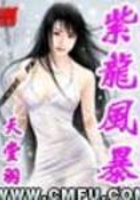 紫龍風暴在線閱讀