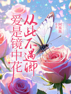 爱是镜中花,从此不遇卿在线阅读