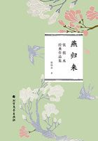 燕归来(张恨水经典作品集)在线阅读