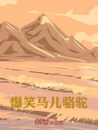 爆笑马儿骆驼在线阅读