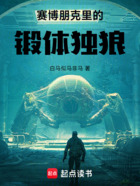 赛博朋克里的锻体独狼在线阅读