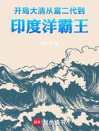 開(kāi)局大清：從富二代到印度洋霸王在線閱讀