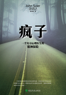 瘋子:一個實習(xí)心理醫(yī)生的精神探險