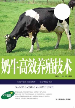 奶牛高效养殖技术 封面