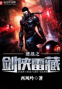 逆戰(zhàn)之劍俠雷藏
