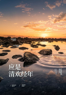 應是清歡經年