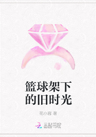 籃球架下的舊時光在線閱讀