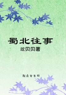 蜀北往事