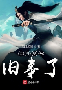 云開見岳舊事了