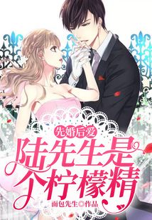 先婚后愛:陸先生是個(gè)檸檬精