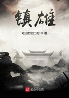 镇雄在线阅读