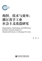 组织、技术与效率：浙江省手工业社会主义改造研究在线阅读