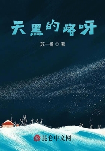 天黑的路