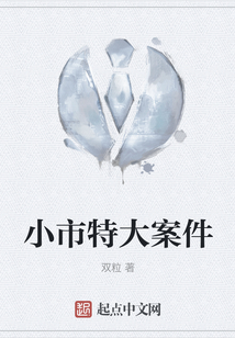 小市特大案件