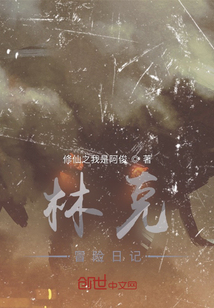 林克冒險日記